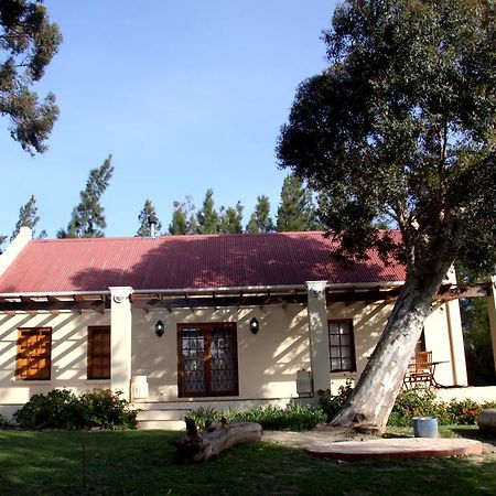 Pensjonat Calais Wine Estate Paarl Zewnętrze zdjęcie
