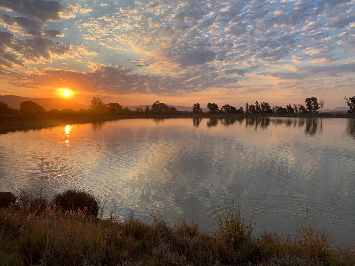 Pensjonat Calais Wine Estate Paarl Zewnętrze zdjęcie