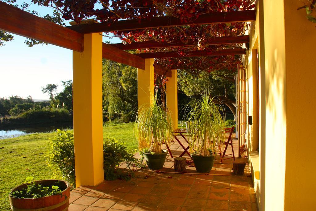 Pensjonat Calais Wine Estate Paarl Zewnętrze zdjęcie